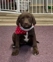 processed/3f414b0a-73a6-4460-b4b8-fd0617085ae9/listing/56513ab2-8156-4597-b866-b82bfb878023/b92b4cf6-2946-4aa3-87f3-babd6af2871a