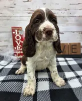 processed/3f414b0a-73a6-4460-b4b8-fd0617085ae9/listing/7ce6f74e-da08-410b-b844-3dbff9a6e4fc/8ce6cdc9-4157-4fa7-9037-c7edff8ad7fa