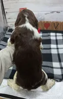 processed/3f414b0a-73a6-4460-b4b8-fd0617085ae9/listing/7ce6f74e-da08-410b-b844-3dbff9a6e4fc/9501596a-3279-4aa9-9dda-59e425fffaa6