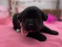 processed/3f414b0a-73a6-4460-b4b8-fd0617085ae9/listing/87d8388c-8ff0-42f9-b690-d54f0a8cf2d8/0dac5cbc-8cb3-42a4-8e3a-1c3230dbc1da