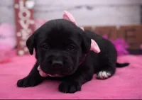 processed/3f414b0a-73a6-4460-b4b8-fd0617085ae9/listing/87d8388c-8ff0-42f9-b690-d54f0a8cf2d8/168ea80b-682c-4b4b-b7a3-6a0fac5c8971