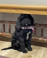 processed/3f414b0a-73a6-4460-b4b8-fd0617085ae9/listing/9ed347c1-6551-4844-9547-e541ff99a394/2fb28b05-4359-493e-b4a9-b18d37bcf025