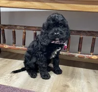 processed/3f414b0a-73a6-4460-b4b8-fd0617085ae9/listing/9ed347c1-6551-4844-9547-e541ff99a394/670870da-c838-4121-8b44-f225bca8d611