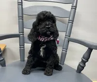 processed/3f414b0a-73a6-4460-b4b8-fd0617085ae9/listing/9ed347c1-6551-4844-9547-e541ff99a394/b1b8b82b-4809-4846-801b-a4cb47fd8c43