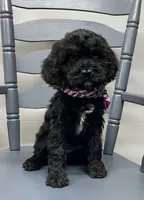 processed/3f414b0a-73a6-4460-b4b8-fd0617085ae9/listing/9ed347c1-6551-4844-9547-e541ff99a394/ec5948de-302e-482c-b53a-9b2f05f05af6