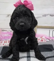 processed/3f414b0a-73a6-4460-b4b8-fd0617085ae9/listing/a962c5fe-28fb-43ea-8567-9f86f0452f6a/314bcca2-0ac8-4011-bdbf-7144f36ddc90