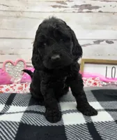 processed/3f414b0a-73a6-4460-b4b8-fd0617085ae9/listing/a962c5fe-28fb-43ea-8567-9f86f0452f6a/6d09cb77-ed97-40ec-983e-dbee181234b8