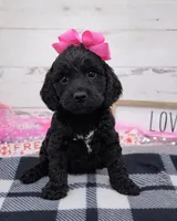 processed/3f414b0a-73a6-4460-b4b8-fd0617085ae9/listing/a962c5fe-28fb-43ea-8567-9f86f0452f6a/7496ac19-c9f7-48e1-819d-1dda343cd7eb