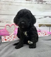 processed/3f414b0a-73a6-4460-b4b8-fd0617085ae9/listing/b02ec0f6-07db-481f-b1a8-011a6ad2c98e/19ae2aef-9fc3-47a6-9cc1-6ca21e2377c7