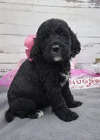 processed/3f414b0a-73a6-4460-b4b8-fd0617085ae9/listing/b02ec0f6-07db-481f-b1a8-011a6ad2c98e/7d11913d-9316-4425-aa2e-596cb3929f83