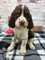 processed/3f414b0a-73a6-4460-b4b8-fd0617085ae9/listing/b6bfcde7-0f6a-480b-a9b4-ce2b92952ec4/9960733a-c8a7-483d-a080-db68787d59be