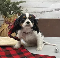 processed/3f414b0a-73a6-4460-b4b8-fd0617085ae9/listing/dc629298-8b72-4a45-97ed-7dd377e1362d/3ba8bc10-6229-4963-bcfd-dfbac4be8ede