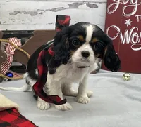 processed/3f414b0a-73a6-4460-b4b8-fd0617085ae9/listing/dc629298-8b72-4a45-97ed-7dd377e1362d/6b40c5bf-909d-4213-82b4-ac0f9565d009