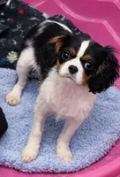 processed/3f414b0a-73a6-4460-b4b8-fd0617085ae9/listing/dc629298-8b72-4a45-97ed-7dd377e1362d/f13aebf1-8e64-478f-b6d9-d73e9a4862af