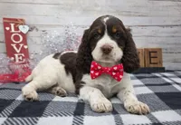 processed/3f414b0a-73a6-4460-b4b8-fd0617085ae9/listing/f1f031fc-8f76-4573-927b-a882e74e762f/636cd18a-290e-45fd-b185-d11d9ff152d9