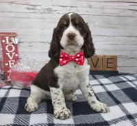 processed/3f414b0a-73a6-4460-b4b8-fd0617085ae9/listing/f1f031fc-8f76-4573-927b-a882e74e762f/a8b72684-5743-475c-8927-3e5950979026