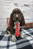 processed/3f414b0a-73a6-4460-b4b8-fd0617085ae9/listing/f894635e-2e72-4f85-a4fa-7575a76b005d/0acaa74c-b51f-480b-8781-6926a904c2dc