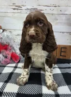 processed/3f414b0a-73a6-4460-b4b8-fd0617085ae9/listing/f894635e-2e72-4f85-a4fa-7575a76b005d/1cf22573-998f-46aa-b948-682d68eb1d76