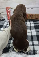 processed/3f414b0a-73a6-4460-b4b8-fd0617085ae9/listing/f894635e-2e72-4f85-a4fa-7575a76b005d/37664364-4764-4f5c-b396-e878dc6d09b2