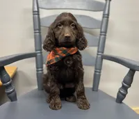 processed/3f414b0a-73a6-4460-b4b8-fd0617085ae9/listing/fca15c65-2495-4320-b063-480ed90eec46/085b808d-327b-47dd-b979-fa63c33db779