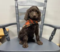 processed/3f414b0a-73a6-4460-b4b8-fd0617085ae9/listing/fca15c65-2495-4320-b063-480ed90eec46/1f4cde69-1403-4b84-a2b4-edcff7d8f1dc