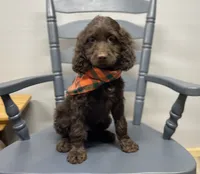 processed/3f414b0a-73a6-4460-b4b8-fd0617085ae9/listing/fca15c65-2495-4320-b063-480ed90eec46/5a9a0bb9-fce7-4272-bf76-b23ff730fbc9