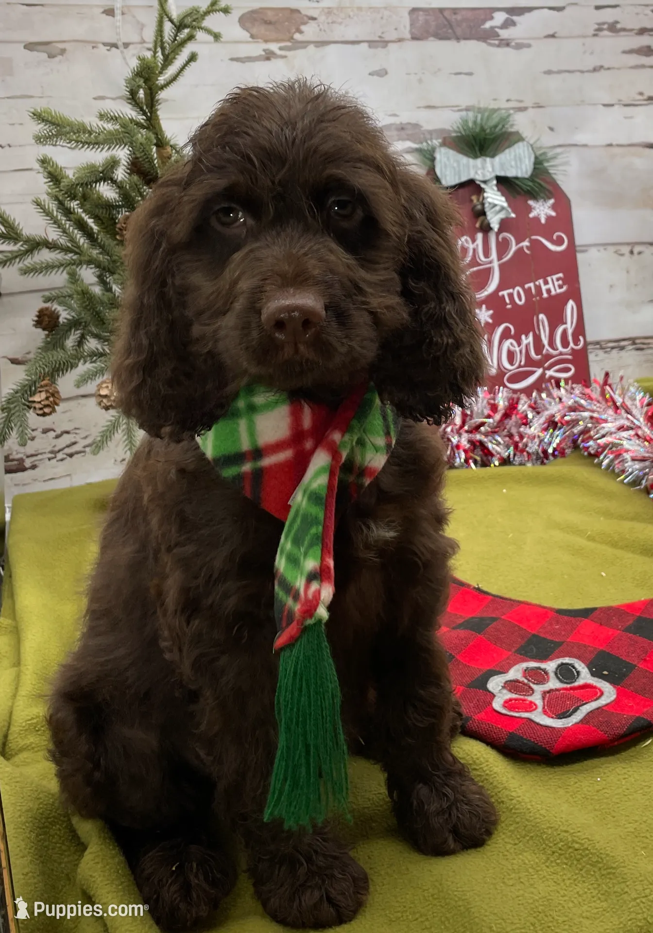 processed/3f414b0a-73a6-4460-b4b8-fd0617085ae9/listing/fca15c65-2495-4320-b063-480ed90eec46/bcc246cc-4199-4d56-8b6a-475b6cab42db