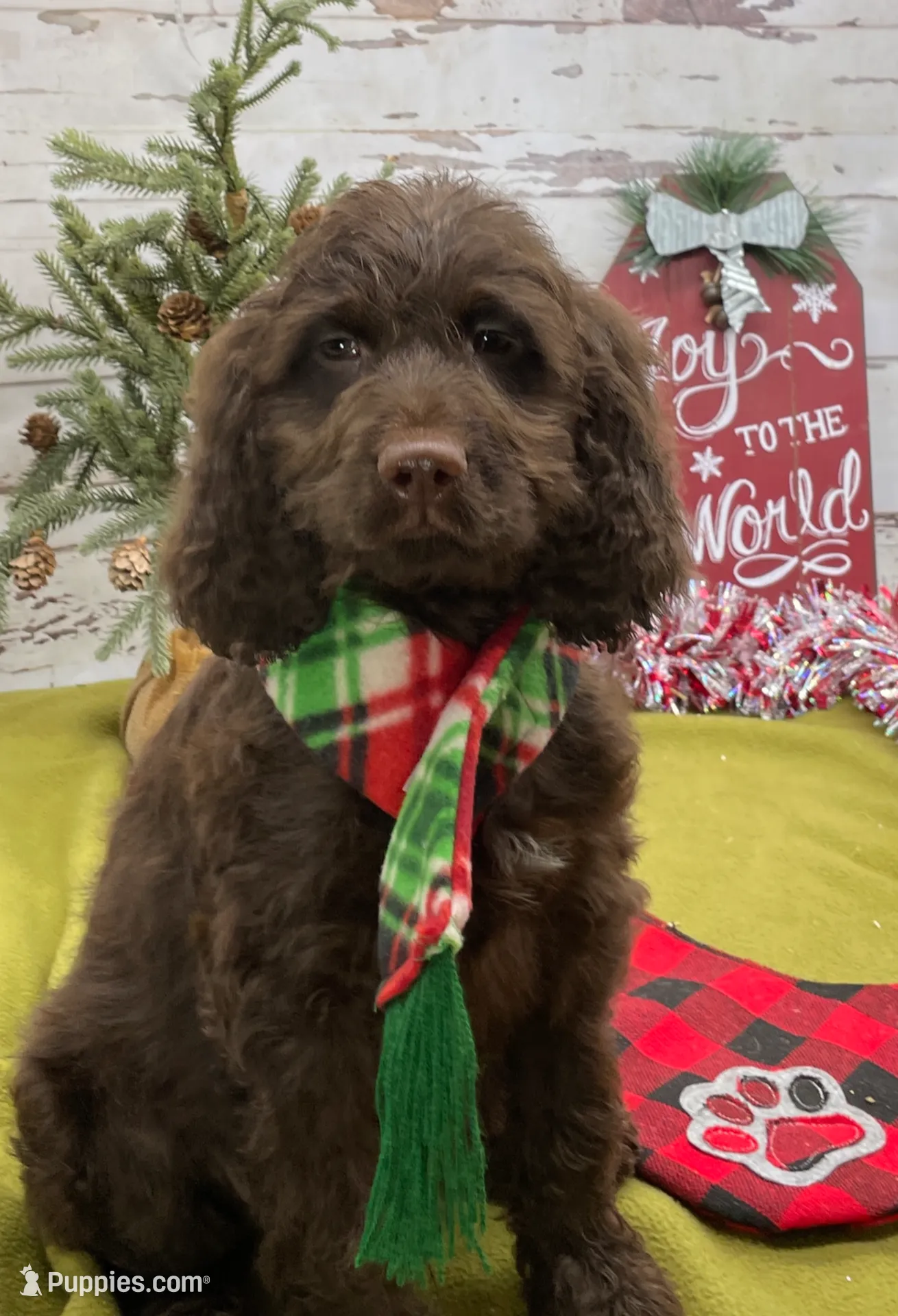 processed/3f414b0a-73a6-4460-b4b8-fd0617085ae9/listing/fca15c65-2495-4320-b063-480ed90eec46/c85ac24f-463b-46c2-8e25-5a76f9bfa3cc