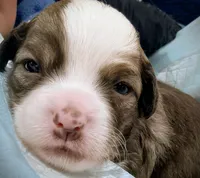 processed/3f4746a4-35ea-417e-afa2-62c783ab7a05/listing/58afa2c1-90ae-438c-a469-fe0bc57cd321/0fb360a4-a855-449e-bff0-143b7b47b616