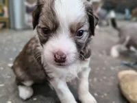 processed/3f4746a4-35ea-417e-afa2-62c783ab7a05/listing/58afa2c1-90ae-438c-a469-fe0bc57cd321/3203a9b4-07b0-4daa-b3b7-4de810d3fe60