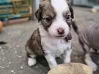 processed/3f4746a4-35ea-417e-afa2-62c783ab7a05/listing/58afa2c1-90ae-438c-a469-fe0bc57cd321/80ba142c-3177-4fbb-a073-e92d9a942fef