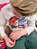 processed/3f4746a4-35ea-417e-afa2-62c783ab7a05/listing/58afa2c1-90ae-438c-a469-fe0bc57cd321/92f82525-c972-4ede-87dc-16d532b47be1