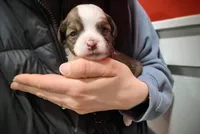 processed/3f4746a4-35ea-417e-afa2-62c783ab7a05/listing/58afa2c1-90ae-438c-a469-fe0bc57cd321/bfb7acd1-520a-4997-a7e9-7947432b0cd7