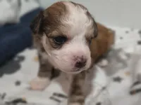 processed/3f4746a4-35ea-417e-afa2-62c783ab7a05/listing/aeafb01d-844e-4b64-8840-ea0b6359e6d0/0e3066cd-f3cf-4c71-9fa6-0c732f1ee28a