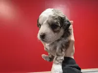 processed/3f4746a4-35ea-417e-afa2-62c783ab7a05/listing/aeafb01d-844e-4b64-8840-ea0b6359e6d0/56af3ad7-a9dc-4f0f-b2dc-0636e65f4d8f