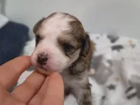 processed/3f4746a4-35ea-417e-afa2-62c783ab7a05/listing/aeafb01d-844e-4b64-8840-ea0b6359e6d0/85247c78-b369-454a-8a5b-93ace9852a24