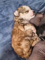 processed/3f4746a4-35ea-417e-afa2-62c783ab7a05/listing/aeafb01d-844e-4b64-8840-ea0b6359e6d0/9bde9182-c6fa-4349-903c-a175f1e7cf0d