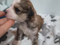 processed/3f4746a4-35ea-417e-afa2-62c783ab7a05/listing/aeafb01d-844e-4b64-8840-ea0b6359e6d0/e0dbbd99-e07c-4ac2-8506-7e57f152823a