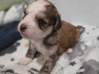 processed/3f4746a4-35ea-417e-afa2-62c783ab7a05/listing/aeafb01d-844e-4b64-8840-ea0b6359e6d0/e36c9c69-82b0-43b5-b8b4-45b72ebd39f3