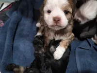 processed/3f4746a4-35ea-417e-afa2-62c783ab7a05/listing/c2518fa1-c56c-450e-9275-80c9f132febe/ab38203f-a382-492a-8970-85dc90fa5d48