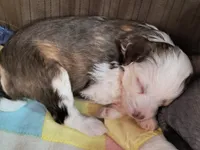 processed/3f4746a4-35ea-417e-afa2-62c783ab7a05/listing/ec0ab204-aa43-4a15-b172-55e2c967ef82/04653510-be69-4395-967f-897209fa1aa9