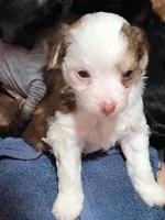 processed/3f4746a4-35ea-417e-afa2-62c783ab7a05/listing/ec0ab204-aa43-4a15-b172-55e2c967ef82/0e7ff1a6-efde-470a-a08b-17c5c733f5d7