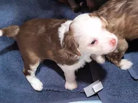 processed/3f4746a4-35ea-417e-afa2-62c783ab7a05/listing/ec0ab204-aa43-4a15-b172-55e2c967ef82/2786e048-5834-445f-a22f-724a29203b47