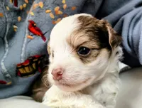 processed/3f4746a4-35ea-417e-afa2-62c783ab7a05/listing/ec0ab204-aa43-4a15-b172-55e2c967ef82/288a63e5-0b54-483d-a7c5-8ae76deaa6b7