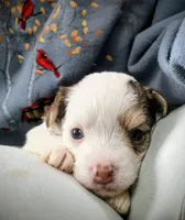 processed/3f4746a4-35ea-417e-afa2-62c783ab7a05/listing/ec0ab204-aa43-4a15-b172-55e2c967ef82/2a1726e5-c19b-4d5c-8929-b35eb1a5c5be