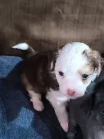 processed/3f4746a4-35ea-417e-afa2-62c783ab7a05/listing/ec0ab204-aa43-4a15-b172-55e2c967ef82/b961b880-9829-4a83-b9d7-894634d65731