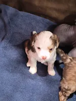 processed/3f4746a4-35ea-417e-afa2-62c783ab7a05/listing/ec0ab204-aa43-4a15-b172-55e2c967ef82/ecba95f0-77f1-438b-a485-4ae0b1e44564