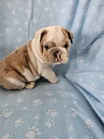 processed/3f4dff0d-75be-4ad0-8fba-c4e0303001b7/listing/5e949f1d-8cff-42b9-8a75-16ac42bc061c/0cd810d8-12f8-4687-adb7-8648a7a1aefe