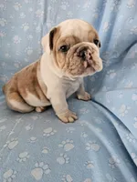 processed/3f4dff0d-75be-4ad0-8fba-c4e0303001b7/listing/5e949f1d-8cff-42b9-8a75-16ac42bc061c/5a75da80-0746-4ff4-b32b-88b2f970782b