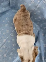 processed/3f4dff0d-75be-4ad0-8fba-c4e0303001b7/listing/5e949f1d-8cff-42b9-8a75-16ac42bc061c/60f85e85-ad6a-41d0-8d6a-9d279e4989b7